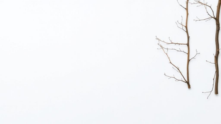 New Checklists Aim to Boost Real-World Uptake of Ecosystem Service Assessments in Europe
