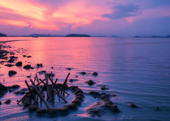 Machine learning reveals how monsoon seasons bend the tide in a Thai estuary