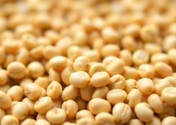 Herbicide Residues in Imported Soybeans Reveal Hidden Fingerprints of GM Crop Events