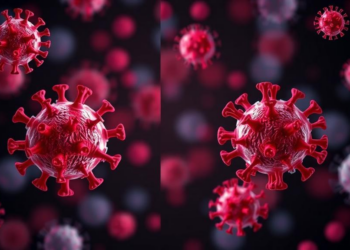 Mathematical Models Take Center Stage in the Fight Against Infectious Disease
