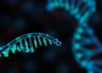 RNA Chemical Tag Drives Endometrial Cancer Through a DNA Repair Protein, Study Finds