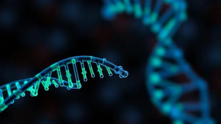 RNA Chemical Tag Drives Endometrial Cancer Through a DNA Repair Protein, Study Finds