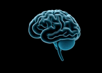 A Simple Tapping Task Taps Into the Brain’s Three Core Executive Functions
