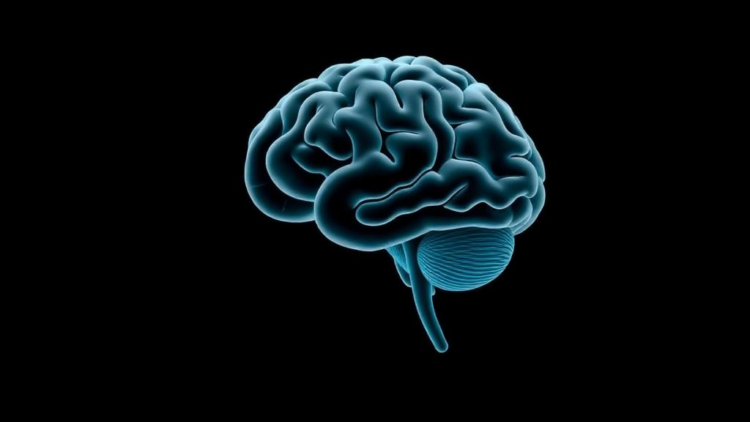 A Simple Tapping Task Taps Into the Brain’s Three Core Executive Functions