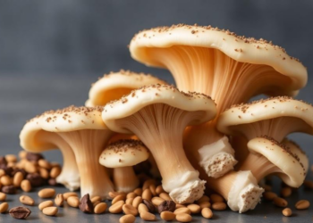 Soybean Meal Feeding Reshapes Morel Mushroom Protein in Tissue-Specific Ways, Multi-Omics Study Finds