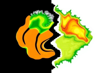 New Tool Reveals Where Ecological Models Break Down in Unfamiliar Climates