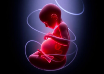 Rethinking the placenta: why fetal oxygen demand may matter more than maternal symptoms
