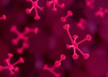Antibodies That Coat a ‘Good’ Vaginal Bacterium May Help Guard Against Preterm Birth