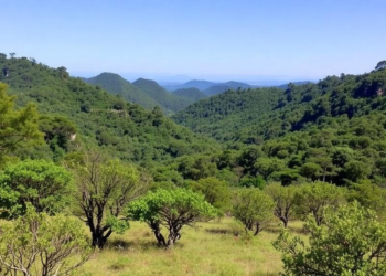 Protected Areas in Southern Brazil Are Failing Their Own Conservation Goals