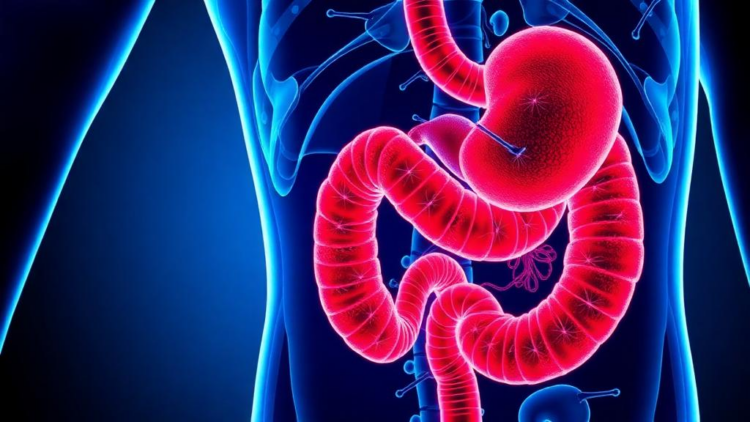 Apatinib-based neoadjuvant regimens show promise in resectable gastric cancer meta-analysis