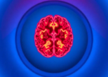 AI Reads Brain Scans to Predict Cognitive Test Performance with 7-Tesla MRI