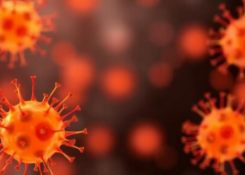 Quiescent Yeast Cells Prove Most Vulnerable to Oxidative Stress from Menadione
