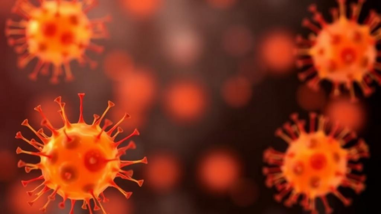 Quiescent Yeast Cells Prove Most Vulnerable to Oxidative Stress from Menadione