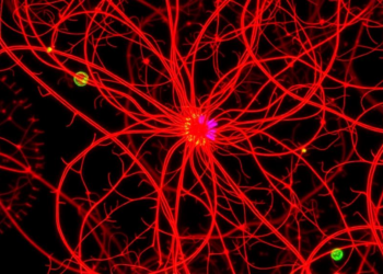 Inflammatory NF-κB Signaling Comes Alive in the Septa of Newborns with Intestinal Atresia