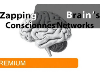 Zapping the Brain’s Consciousness Networks: What 22 Controlled Trials Reveal