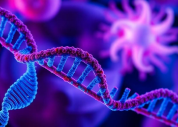 RNA Tagging Enzyme METTL16 Fuels Colorectal Cancer by Hijacking Amino Acid Metabolism and Silencing Immune Cells