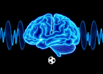 Brain Waves Reveal How Soccer Players’ Brains Brake Before They Act