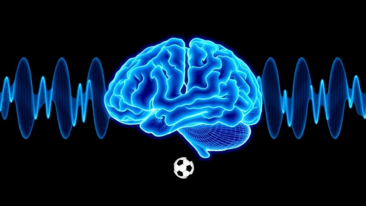 Brain Waves Reveal How Soccer Players’ Brains Brake Before They Act