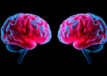 Two Brains, One Choice: Amygdala Alignment Revealed as the Hidden Engine of Human Cooperation