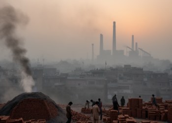 Pakistan’s air pollution crisis mapped from power plants to brick kilns