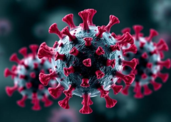 Viruses That Impersonate Our Proteins Evolve Surprisingly Slowly, Study Finds