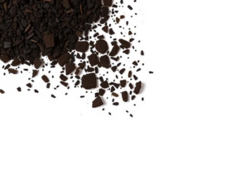 Biochar Switch Flips Weed’s Cleanup Role in Oil-Contaminated Soil
