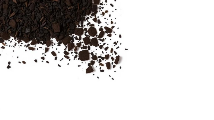 Biochar Switch Flips Weed’s Cleanup Role in Oil-Contaminated Soil