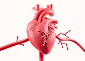 SGLT2 Inhibitors Found to Repair Heart Metabolism Through Coenzyme A Pathway