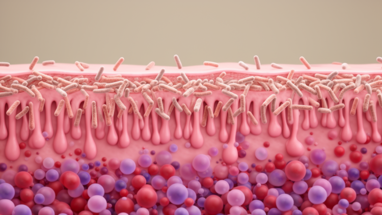 In Urinary Infections, the Patient May Matter More Than the Bug