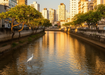 Birds and Cooling Breezes Reveal a Hidden Trade-Off in Brazil’s Urban Rivers