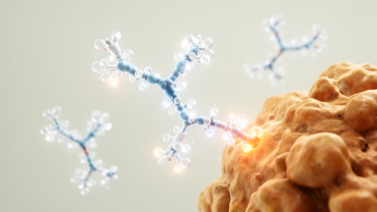 Antibody–Drug Conjugates Reshape Solid Tumor Therapy Amid Safety and Target Challenges
