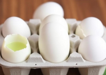 Aloe Vera Gel and Essential Oil Coatings Keep Refrigerated Eggs Fresher for Longer