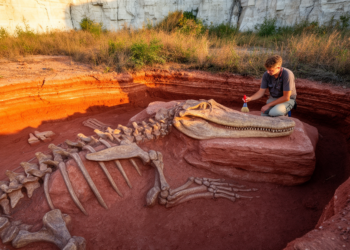 Last of the Croc-Like Giants: German Bone Bed Yields the Youngest Well-Dated Phytosaur Fossil