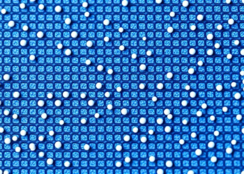 Zinc Oxide Nanorods on Micropatterned Polymers Show Promise Against Marine Biofouling