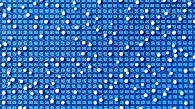 Zinc Oxide Nanorods on Micropatterned Polymers Show Promise Against Marine Biofouling