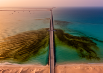 Kuwait’s coastal waters crossed a hidden ecological tipping point in 2013, and a giant causeway may be part of the story