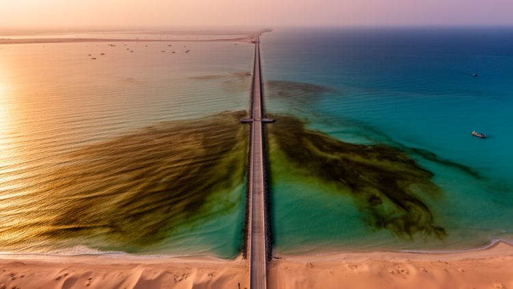 Kuwait’s coastal waters crossed a hidden ecological tipping point in 2013, and a giant causeway may be part of the story