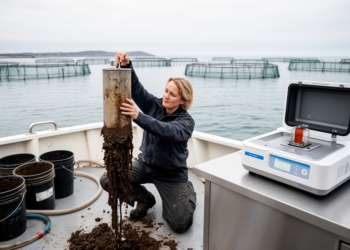 Nanopore Duplex Sequencing Emerges as a Rival to Illumina for Monitoring Fish Farm Impacts on the Seafloor