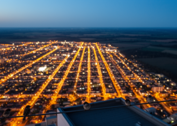 City Lights and Bird Borders: How Urban Life Rewrites a Classic Rule of Biodiversity