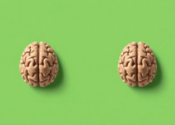 A Simple Brain Scan Ratio Predicts Survival in Cancer That Spreads to the Brain’s Linings