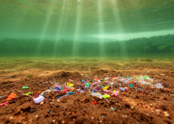 Microplastics Build Up in Sediments of a Key Kerala Drinking Water Reservoir