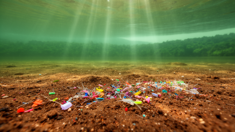 Microplastics Build Up in Sediments of a Key Kerala Drinking Water Reservoir