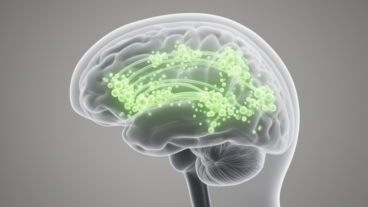 GABA Signaling in Frontostriatal Circuitry Shows No Link to Melancholic Depression Symptoms