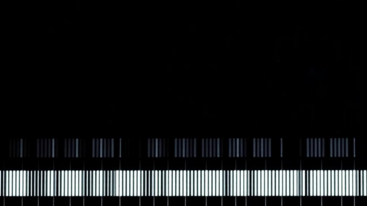 Natrix2 brings Nanopore reads into an open-source metabarcoding workflow