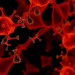 Natural Flavonoid Chrysin Cuts HPV16 E6 Oncoprotein and Reshapes microRNAs in Cervical Cancer Cells