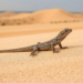Sand dropseed invasion reshapes lizard communities in Hungary’s sand steppes