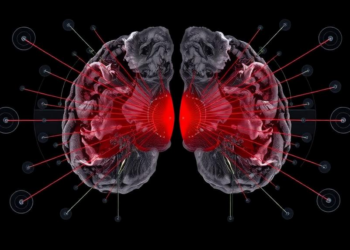 Eye tracking reveals how the brain resolves spoken references