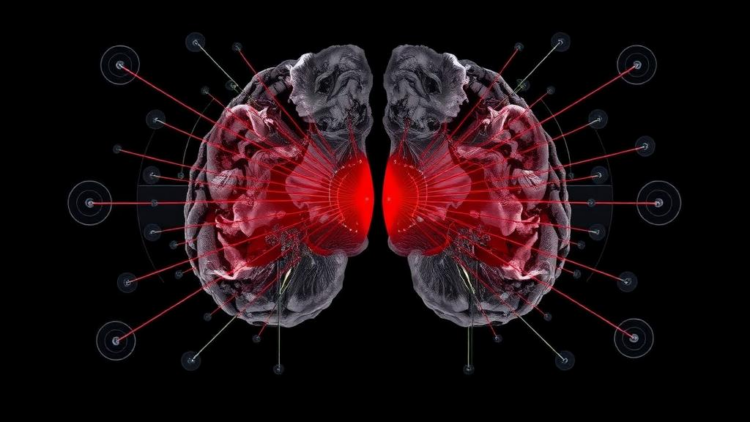 Eye tracking reveals how the brain resolves spoken references