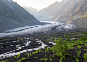 Life Returns Fast as the Caucasus Tsey Glacier Melts Back