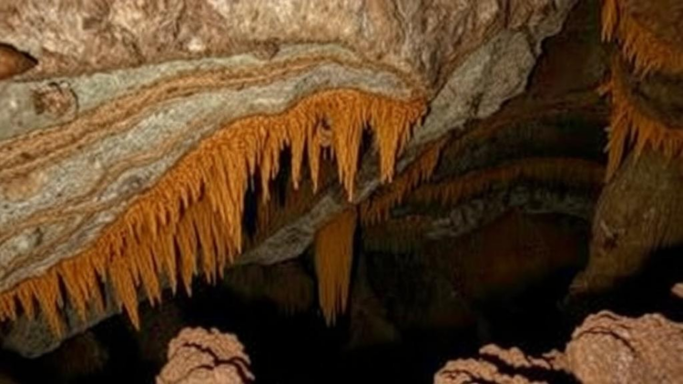Costa Rica’s Caves Hide a Vastly Unmapped Animal World